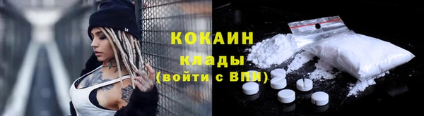 стафф Данков