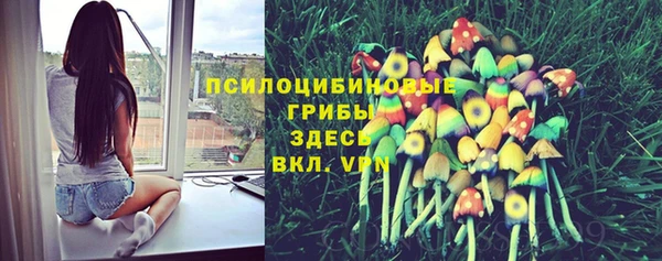 герыч Алексеевка