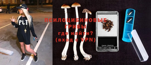 не бодяженный Алексин